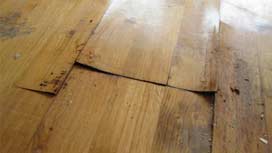 Your hardwood floor is water damaged – can you tell?